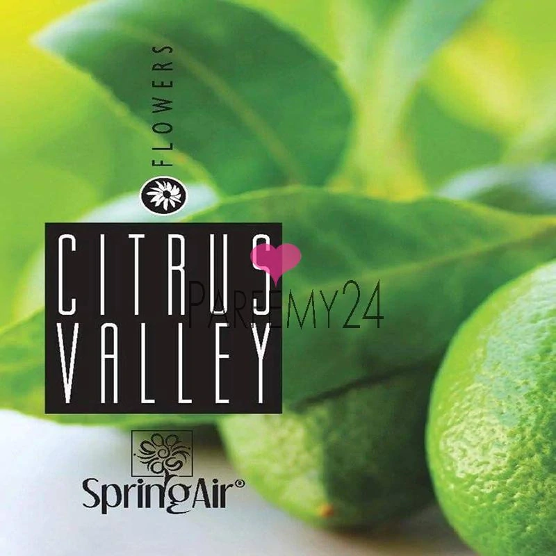 SPRING AIR - náplň do osvěžovače Citrus Valley 250 ml