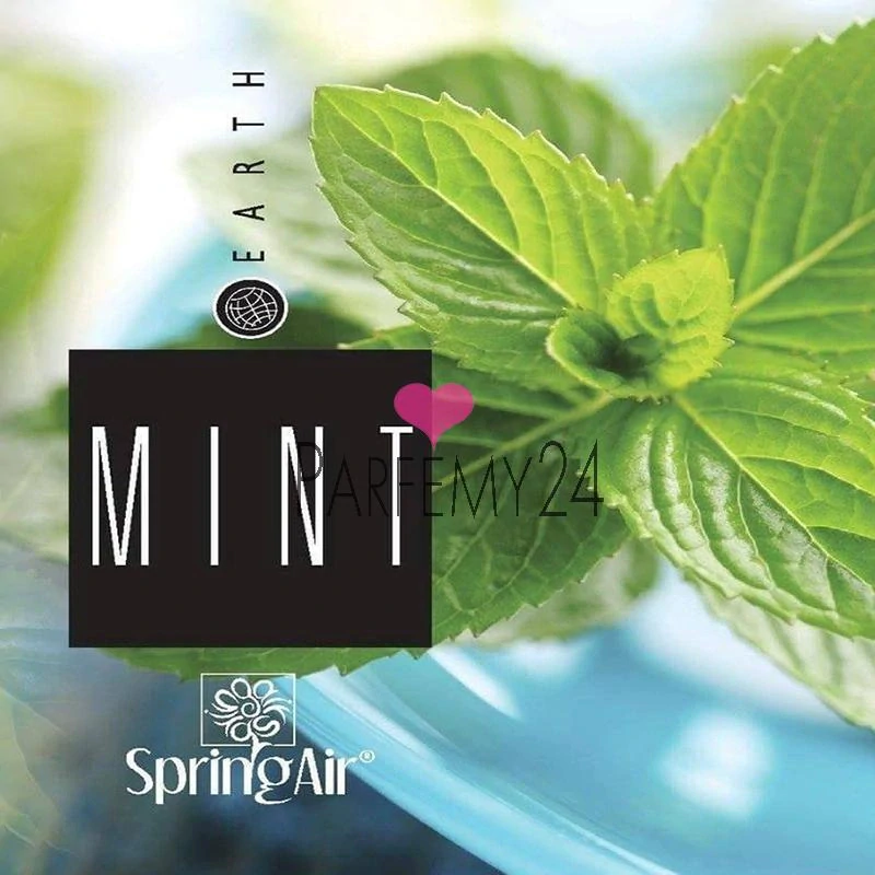 SPRING AIR - náplň do osvěžovače Mint 250 ml