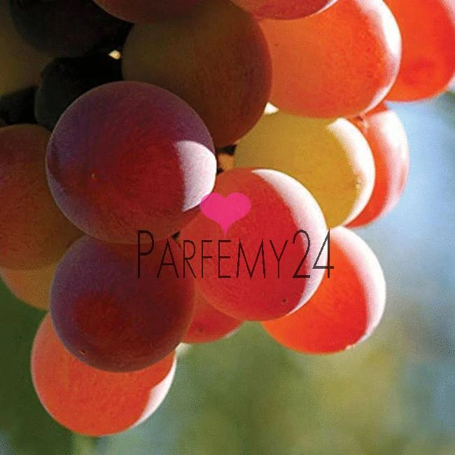 SPRING AIR Ultra Scent Premium interiérový sprej Grapes 200 ml