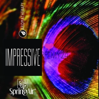 SPRING AIR - náplň do osvěžovače Impressive 250 ml