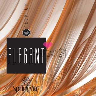 SPRING AIR - náplň do osvěžovače Elegant 250 ml