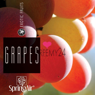 SPRING AIR - náplň do osvěžovače Grapes 250 ml