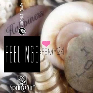 SPRING AIR - náplň do osvěžovače Feelings 250 ml