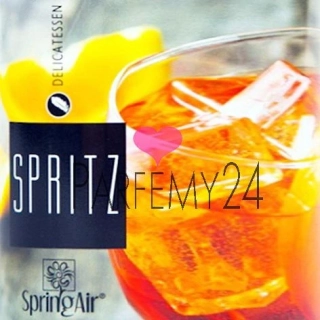 SPRING AIR - náplň do osvěžovače Spritz 250 ml