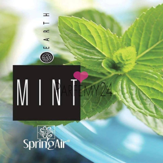 SPRING AIR - náplň do osvěžovače Mint 250 ml